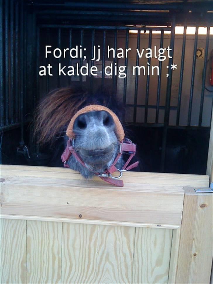 Anden særlig race Blackie *R.I.P*  billede 18