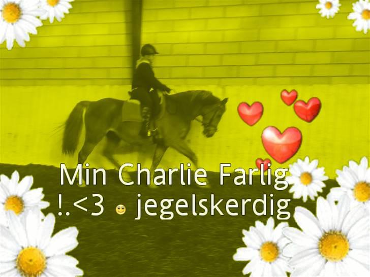 Anden særlig race Charlie Chaplin.<3SOLGT/; - ... jeg lavede det specielt til dig charlie ;´) <3 billede 12