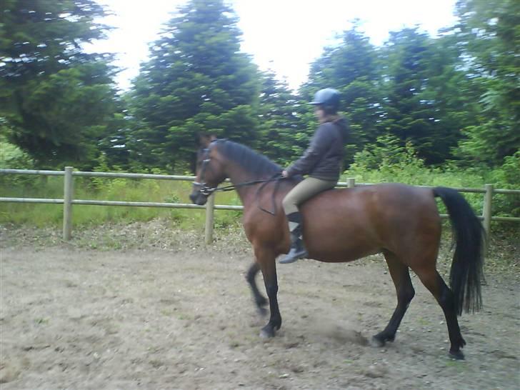 Traver Annabell billede 16