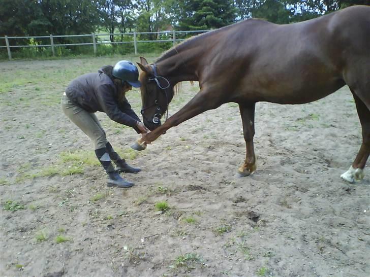 Anden særlig race Kiara billede 9