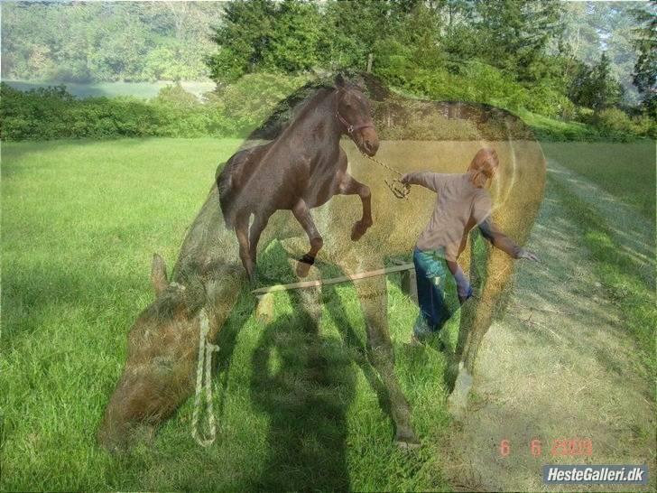 Traver Drau leber  R.I.P  - redigeret af Marikka godskesen billede 8