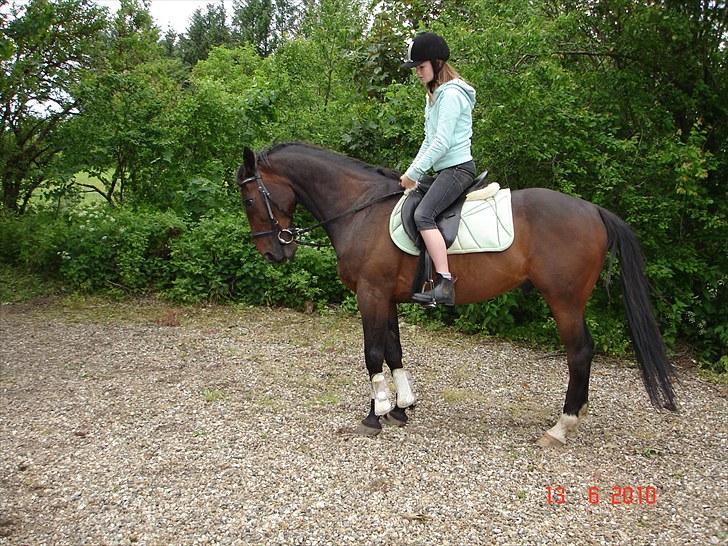 Traver Drau leber  R.I.P  - sommer 2010 billede 9