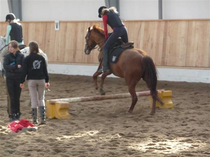 Anden særlig race Rosa (Mit savn!) - Jeg savner dig!<3 billede 5