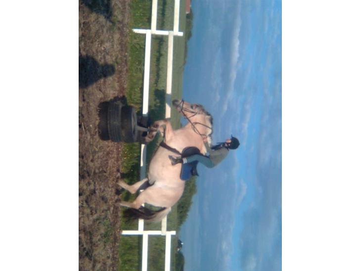 {{currentPhoto.altText}} billede {{currentPhoto.number}}