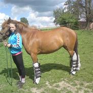 Anden særlig race Emma