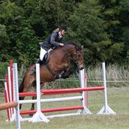 Anden særlig race Lukas