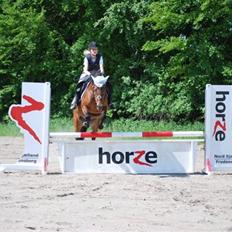 New Forest Ørholm's Parcifal (Part)