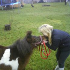 Miniature Lady...SOLGT!