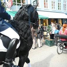 Frieser prince aflivet pga wobler