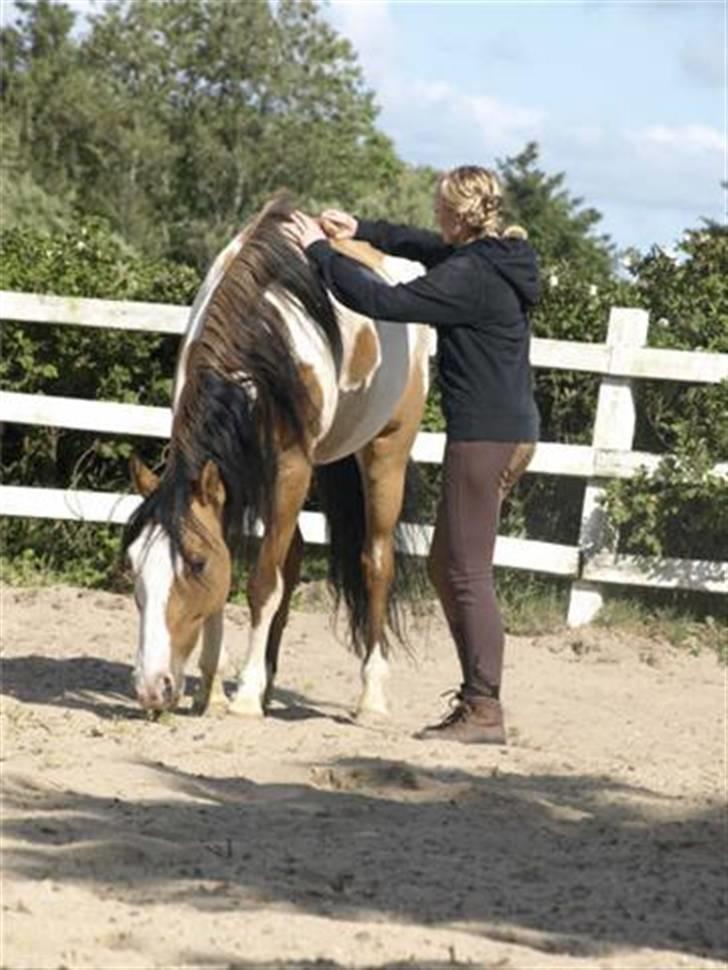 Paint Laddy billede 5