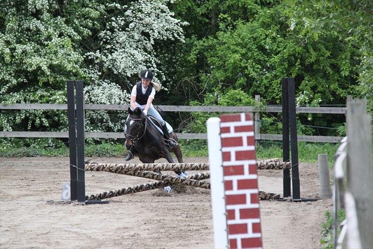 Traver Tazz <3*R.I.P.d.21/4'10* - Til rideskolestævne sidste år.. (´09) billede 1