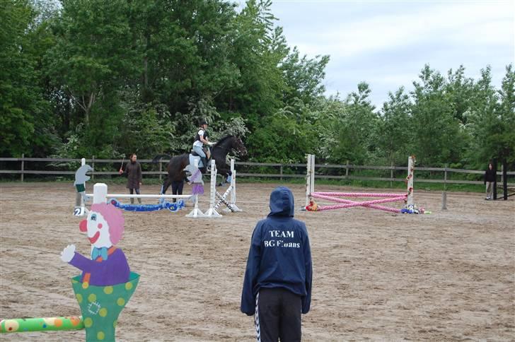 Traver Tazz <3*R.I.P.d.21/4'10* - Stævne 60 cm. billede 4