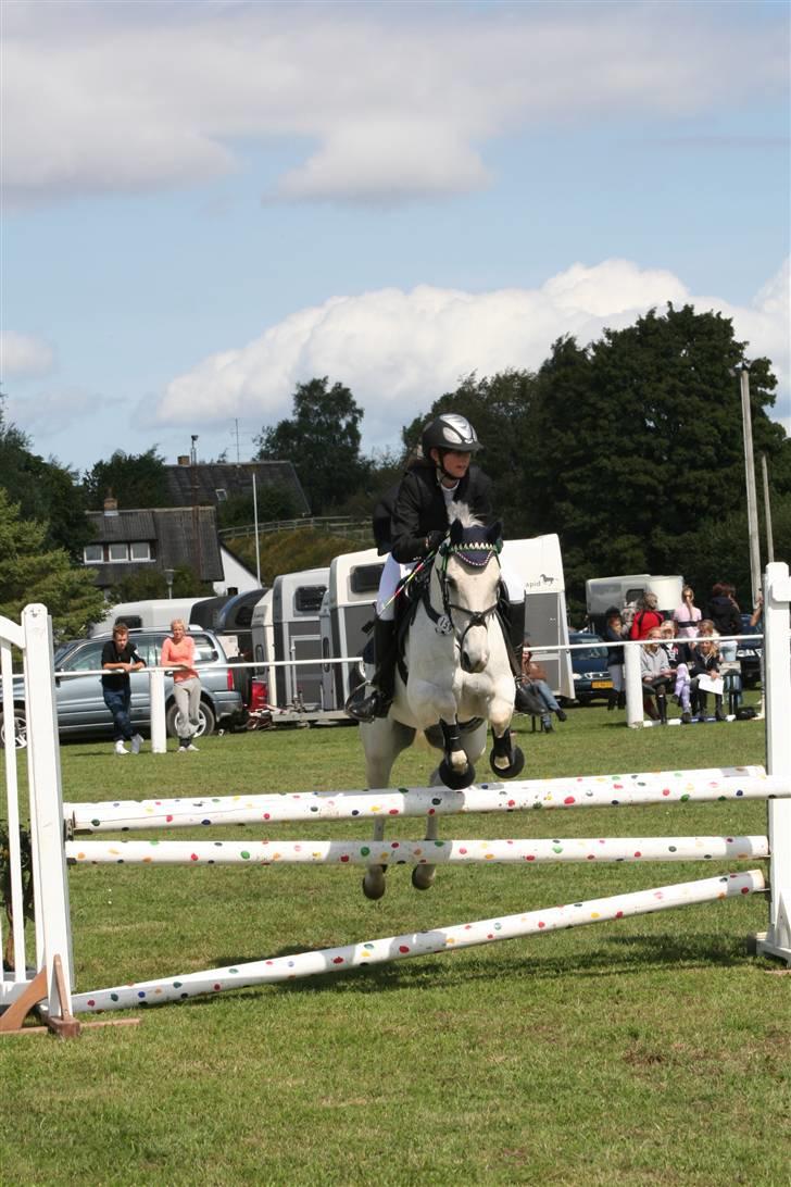 Anden særlig race Chagall - la, slangerup lynge(: -han var super!<33 foto: min far billede 12