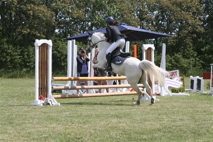 Anden særlig race Chagall - stævne(; 1. plads i jubilæums klasse :D foto: min far billede 13