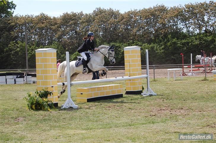 Anden særlig race Chagall - stævne(; 1. plads i jubilæums klasse :D foto: ida l. billede 14