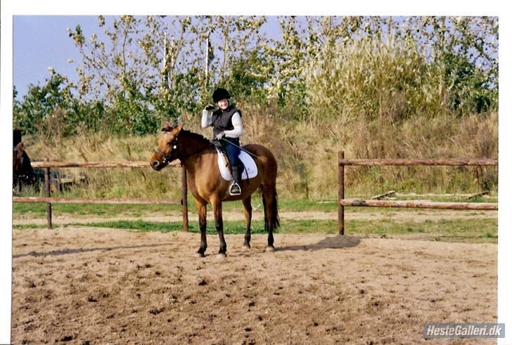 Anden særlig race Prunz (Elev Pony, Solgt) billede 15