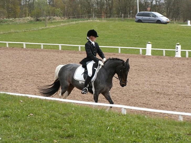 Anden særlig race Kira "SOLGT" ;'(( - 8; Stævne i Løgstrup. billede 8