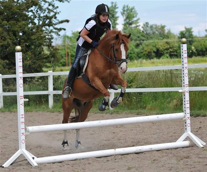 DSP bjørnemose´s zar SOLGT :`(<3<3 - Foto : Jani Pedersen billede 11