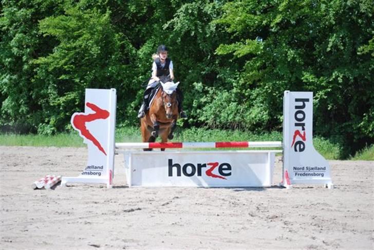 New Forest Ørholm's Parcifal (Part) - joker springning 80cm, på holte :D fik en 3. plads billede 3