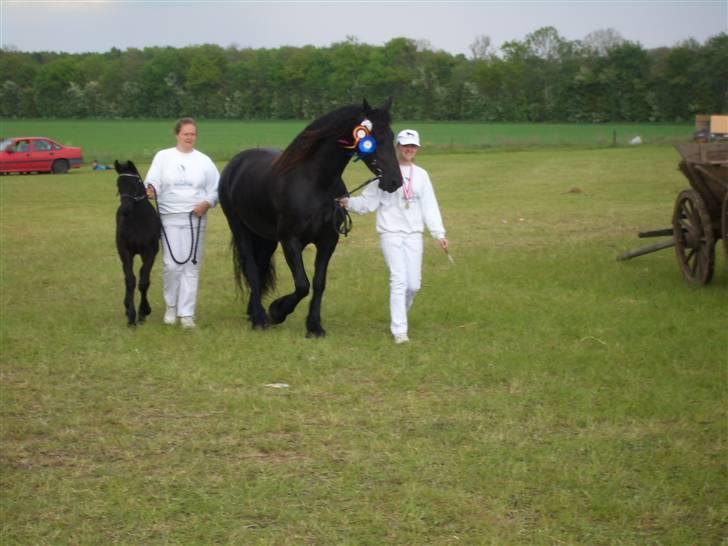 Frieser Gaia Hvalløs billede 10