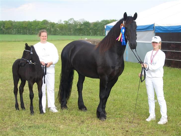Frieser Gaia Hvalløs billede 11