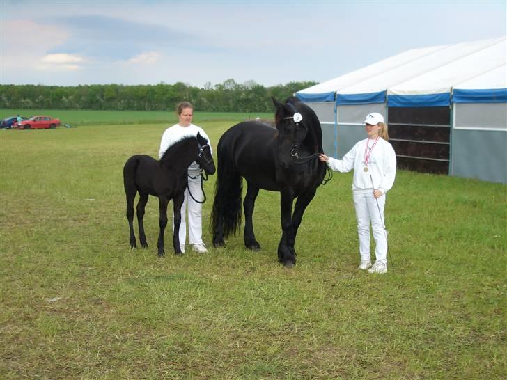 Frieser Gaia Hvalløs billede 12