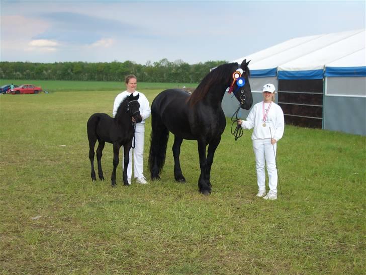 Frieser Gaia Hvalløs billede 13