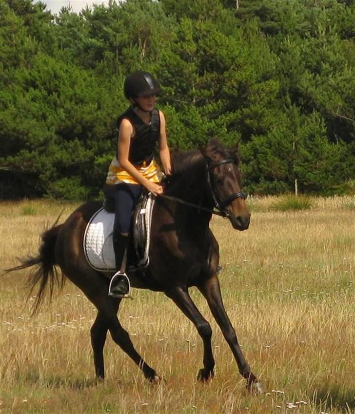 DSP Ringo *rider ikke mere* - Jeg elsker dig simpelthen højere end noget andet <3 Jeg ejer dig ikke på papiret. Men i vores verden er du min<3 billede 14