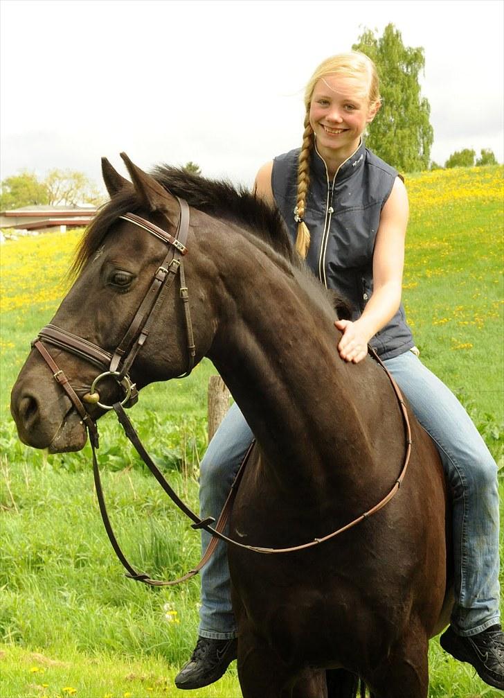 Anden særlig race Simply Grey (R.I.P) - Foto Linn Radsted.  billede 3