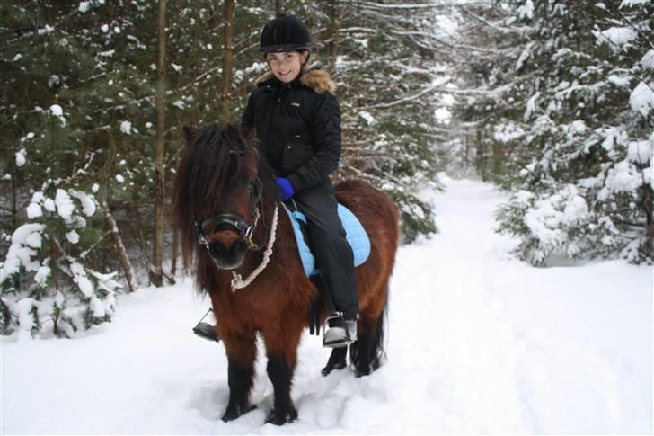 Dartmoor  Bob Marley *SOLGT* - Høvejen´s Bob Marley. billede 1
