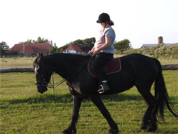 Anden særlig race fillippa(solgt) billede 9