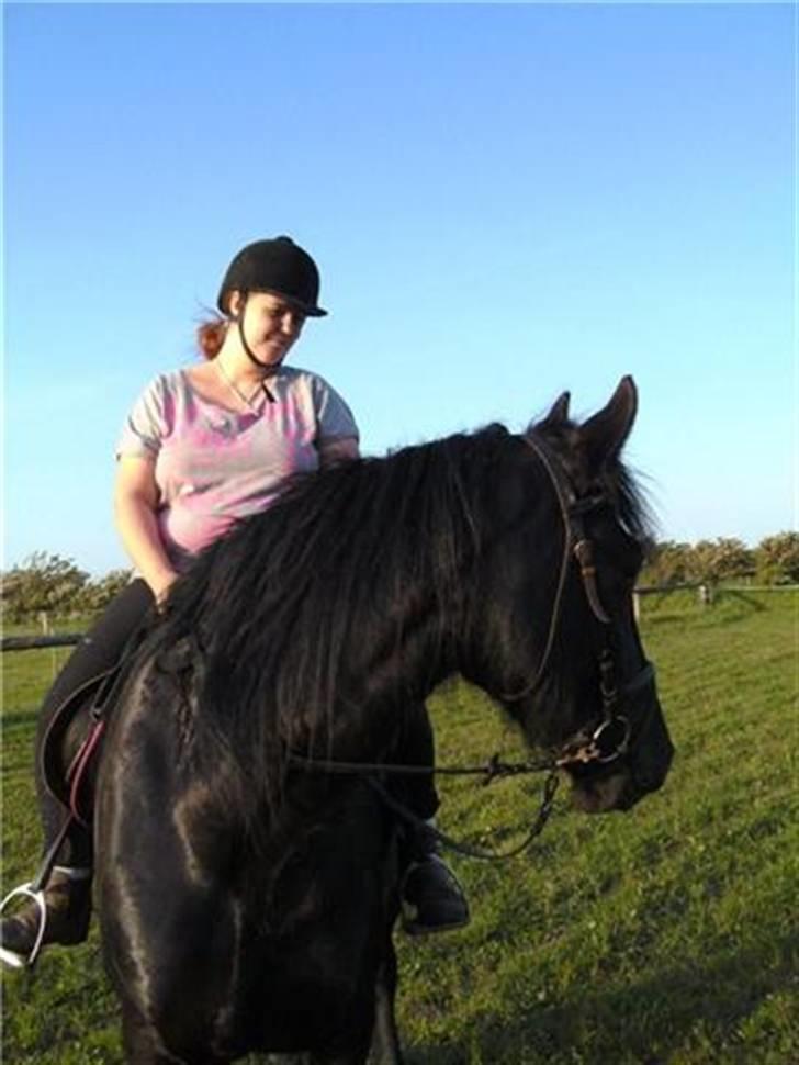 Anden særlig race fillippa(solgt) billede 11