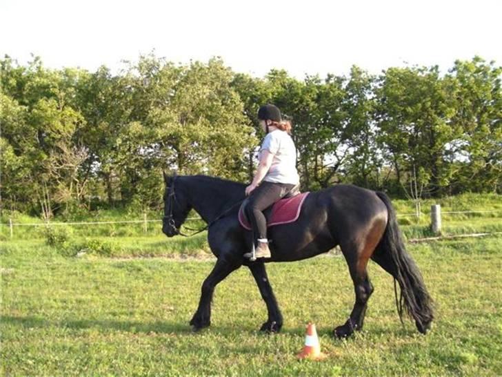 Anden særlig race fillippa(solgt) billede 12