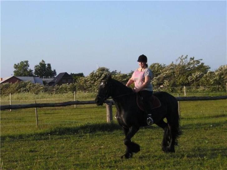 Anden særlig race fillippa(solgt) billede 13