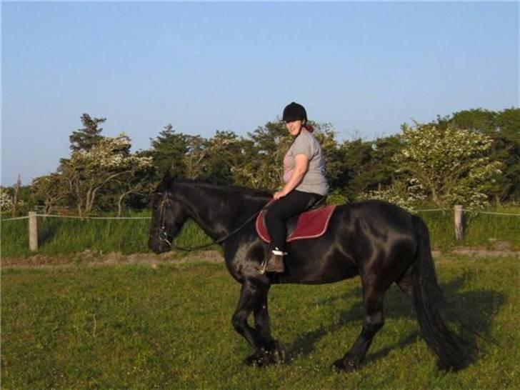 Anden særlig race fillippa(solgt) billede 14