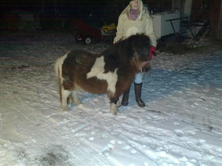 Miniature Lady...SOLGT! billede 2