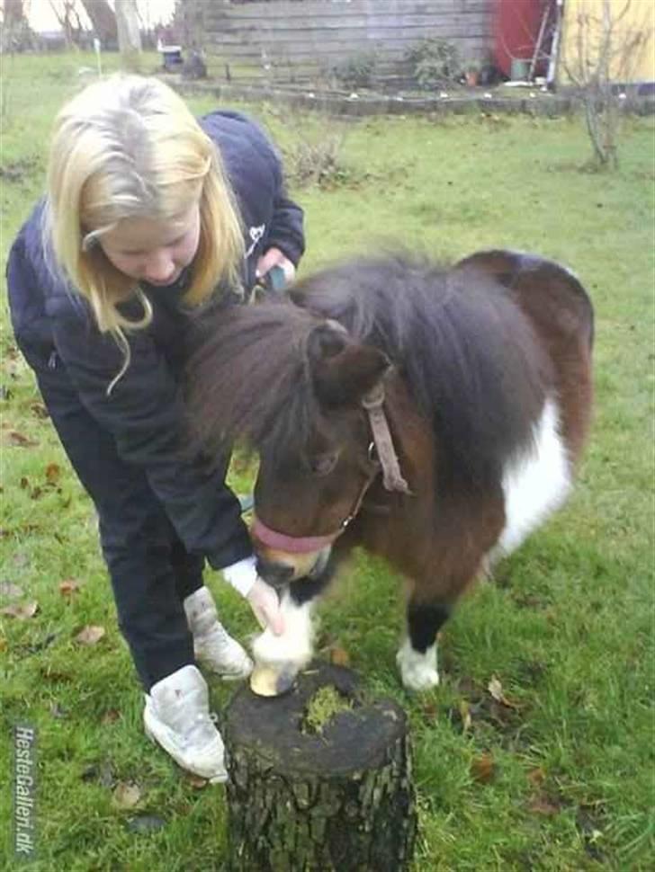 Miniature Lady...SOLGT! billede 4