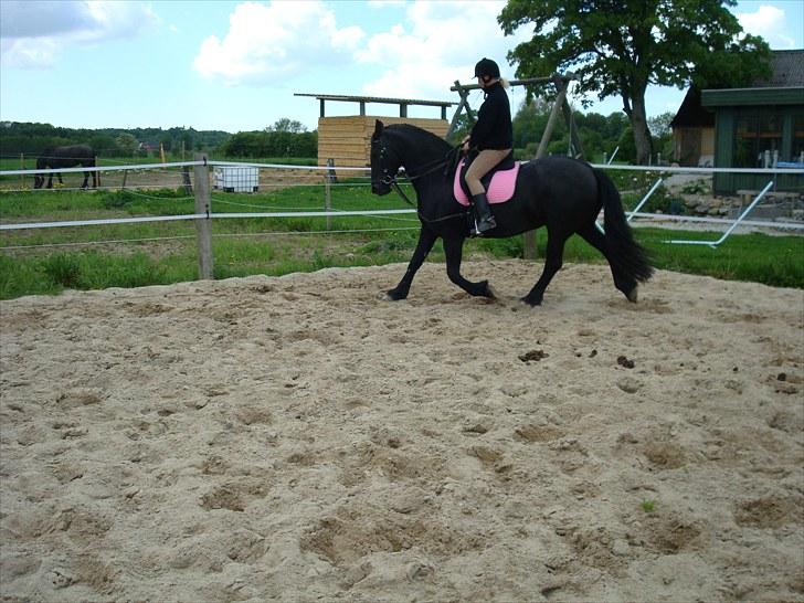 Frieser altruida k - Min mor i en frisk trav på banen :-) billede 9