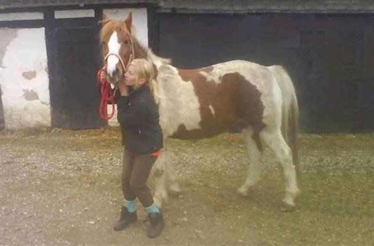 Anden særlig race Kalinca. billede 9