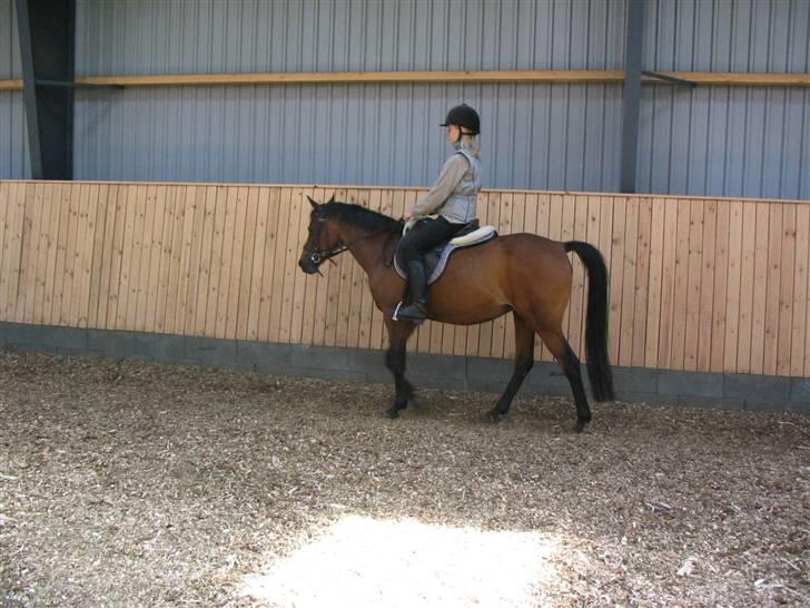 Anden særlig race Wieb *solgt* billede 6