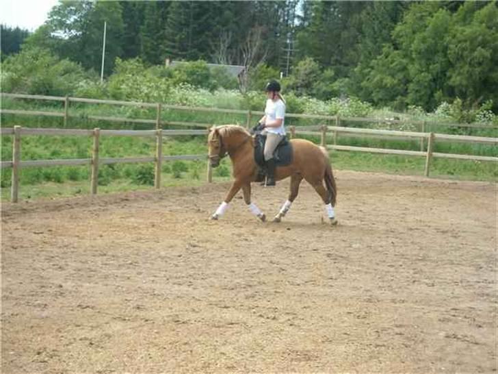 DSP Miss Buterfly *SOLGT* - Er hun ikke bare FOR lækker?? Juni 2009 billede 18