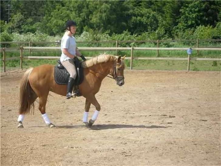 DSP Miss Buterfly *SOLGT* - Juni 2009 billede 19