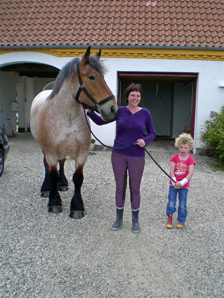 Belgier Dalmoses Bertha (solgt) - Didde og hendes datter med en nyvasket Bertha billede 12