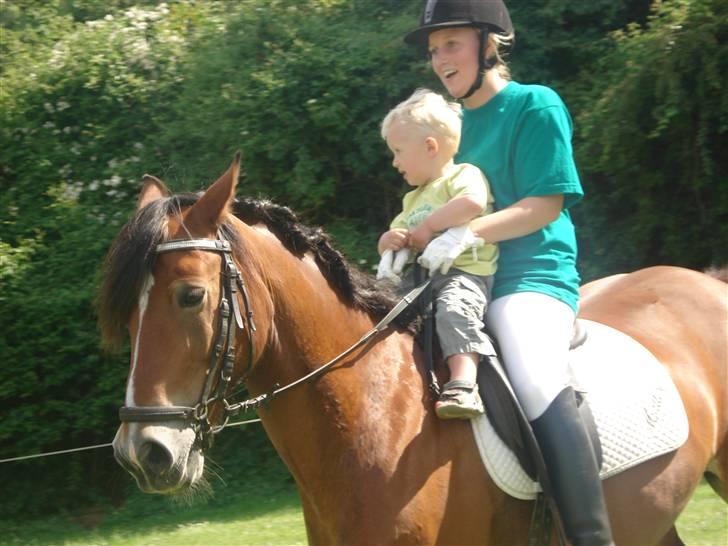 Anden særlig race Torja (Halvpart) -  #20Tenna og Torja lør. d 27.6 09  billede 20