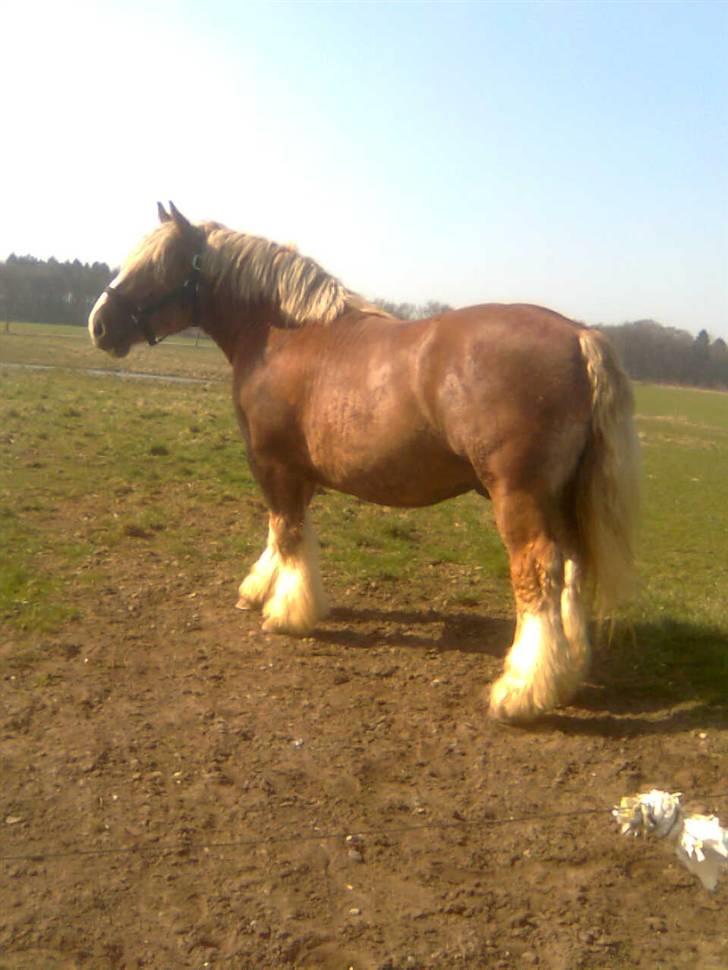 Jyde Conrad - lækker lækker lækker dreng :) : foto miig billede 13