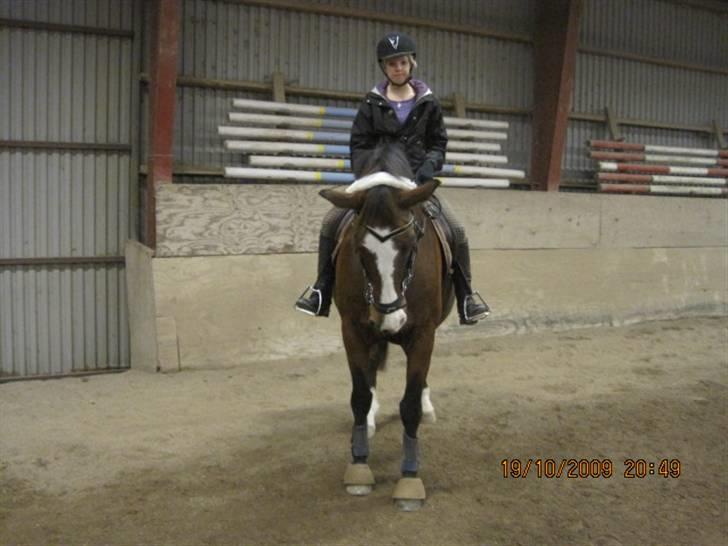 Dansk Varmblod  Uniqe - Bedste ven- SAVN - 1#Unique & jeg i ridehuset. Foto Jonas Hansen den 20-10-09 billede 1