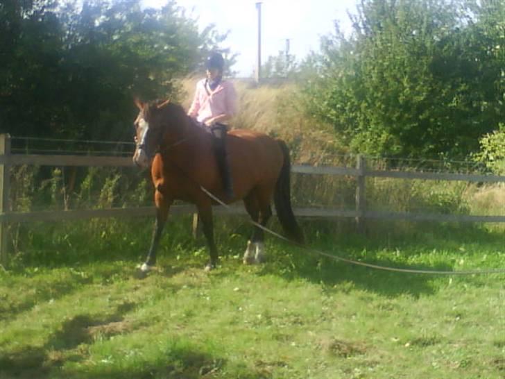 Dansk Varmblod  Uniqe - Bedste ven- SAVN - 5#En af de første gange jeg var ude og ride skatman<3 Foto : Misse 08 ! billede 5