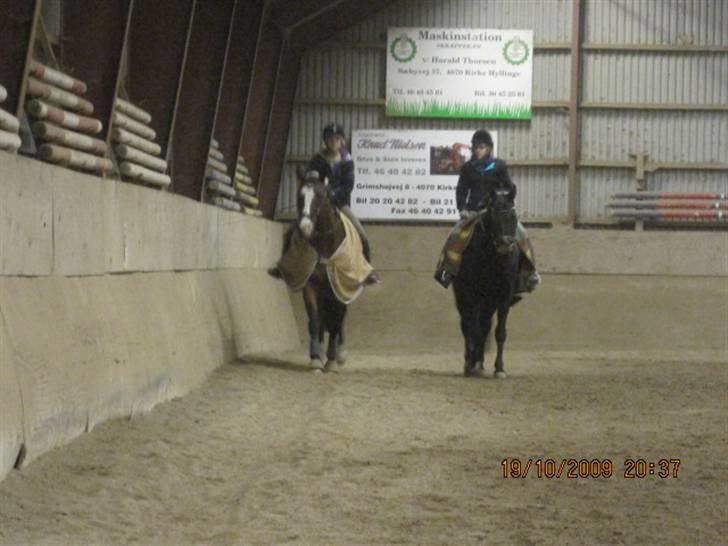 Dansk Varmblod  Uniqe - Bedste ven- SAVN - 10#Unique & jeg, & Martinique & misse ude og ride (; Foto Jonas Hansen 20-10-09  billede 10