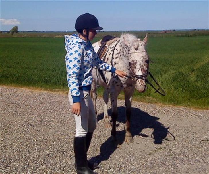 Knabstrupper Bonnie - .fordi du er vidunderlig ´<3 billede 9