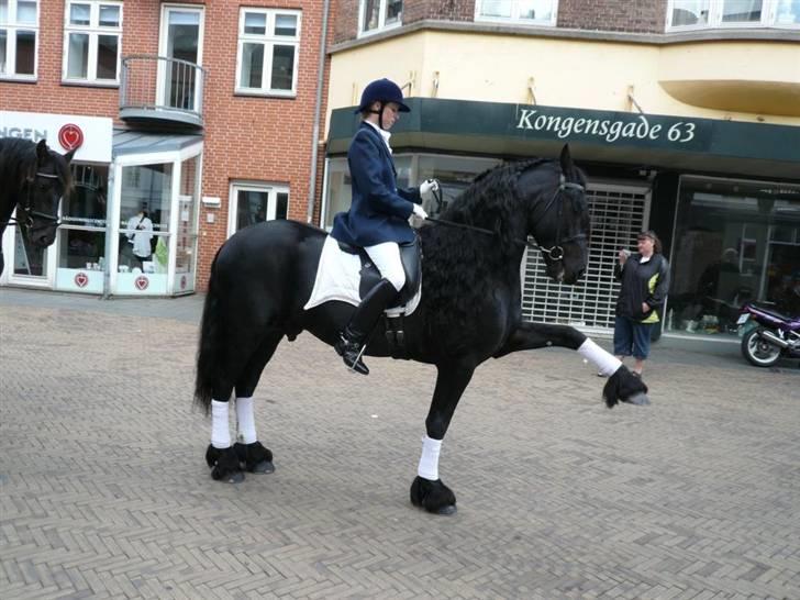 Frieser prince aflivet pga wobler billede 1